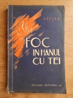 Isac Peltz - Foc in hanul cu tei (volumul 2, 1934)