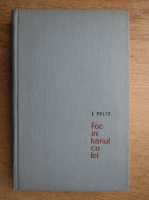 Isac Peltz - Foc in hanul cu tei