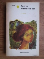 Isac Peltz - Foc in hanul cu tei 