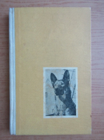 Jack London - Colt Alb