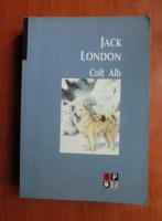 Jack London - Colt alb