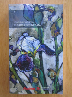 John Galsworthy - Floarea intunecata