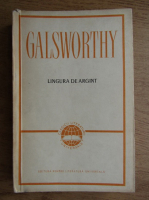 John Galsworthy - Lingura de argint