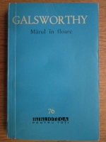 John Galsworthy - Marul in floare. Nuvele