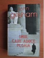 John Grisham - Omul care aduce ploaia