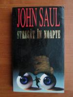 John Saul - Strigat in noapte
