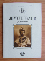 Jokai Mor - Voievodul tiganilor