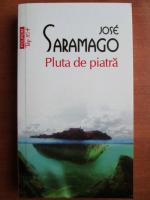 Jose Saramago - Pluta de piatra (Top 10+)