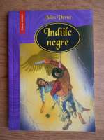 Jules Verne - Indiile negre