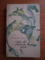 Katherine Anne Porter - Calule alb! calaretule palid!..