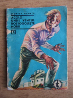 Leonida Neamtu - Acolo unde vantul rostogoleste norii