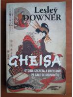 Lesley Downer - Gheisa. Istoria secreta a unei lumi pe cale de disparitie