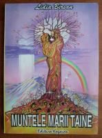 Lidia Birsan - Muntele marii taine