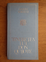 Marin Sorescu - Tineretea lui Don Quijote