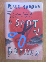 Mark Haddon - A Spot of Bother