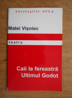 Matei Visniec - Caii la fereastra. Ultimul Godot