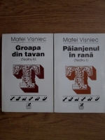 Matei Visniec - Paianjenul in rana. Groapa din tavan (2 volume)