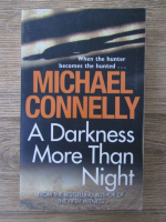 Michael Connelly - A darkness more than night