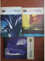 Mihail Sadoveanu - Fratii Jderi (3 volume)