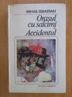 Mihail Sebastian - Orasul cu salcami. Accidentul