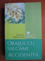 Mihail Sebastian - Orasul cu salcami. Accidentul