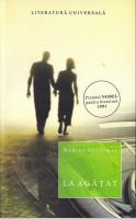 Nadine Gordimer - La agatat