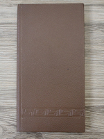 Nichita Stanescu - Maretia frigului, romanul unui sentiment