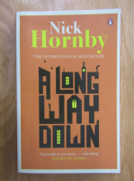 Nick Hornby - A Long Way Down
