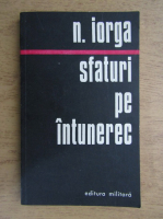 Nicolae Iorga - Sfaturi pe intuneric