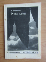 Nicolae Steinhardt - Intre lumi