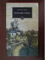 Nicolae Velea - Intalnire tarzie