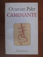 Octavian Paler - Caminante