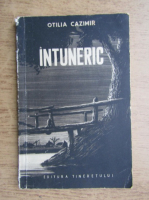 Otilia Cazimir - Intuneric