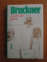 Pascal Bruckner - Luni de fiere