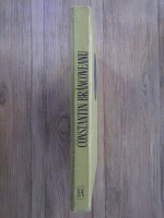 Paul Cernovodeanu, Florin Constantiniu - Constantin Brancoveanu