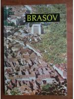 Petre Salcudeanu - Brasov