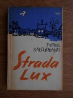 Petre Salcudeanu - Strada Lux