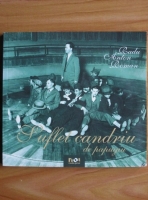 Radu Anton Roman - Suflet candriu de papugiu