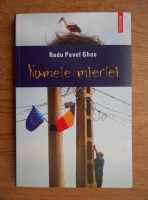 Radu Pavel Gheo - Numele mierlei 