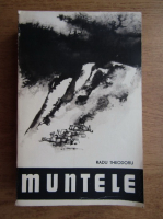 Radu Theodoru - Muntele