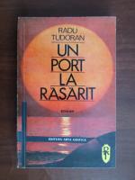 Radu Tudoran - Un port la rasarit