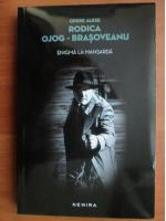 Rodica Ojog Brasoveanu - Enigma la mansarda