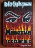 Rodica Ojog Brasoveanu - Minerva se dezlantuie