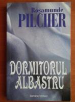 Rosamunde Pilcher - Dormitorul albastru
