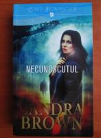 Sandra Brown - Necunoscutul