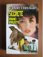 Sandra Brown - Secrete bine pazite