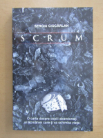 Sergiu Ciocarlan - Scrum