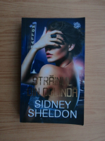 Sidney Sheldon - Strainul din oglinda