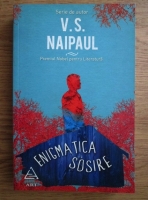 V. S. Naipaul - Enigmatica sosire