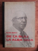 Valeriu Braniste - De la Blaj la Alba Iulia. Articole politice